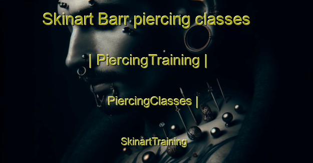 Skinart Barr piercing classes | PiercingTraining | PiercingClasses | SkinartTraining-United States